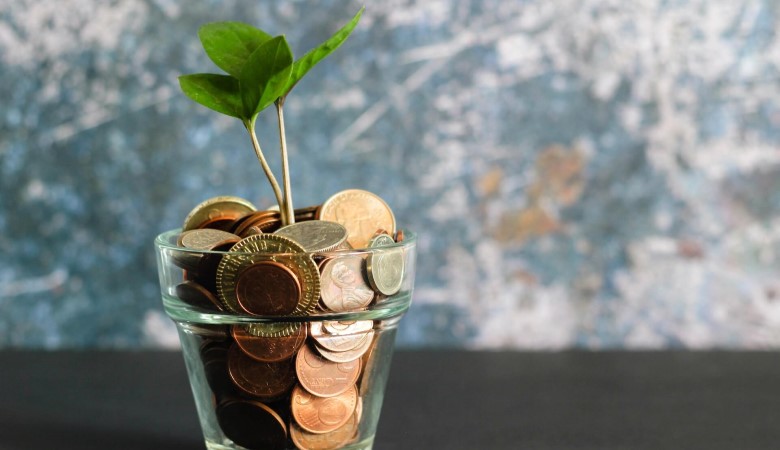 Tiges enterrées dans un pot en verre, rempli de pièce de monnaie.