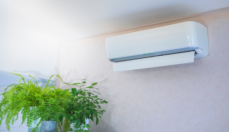 Une climatisation avec une plante verte à côté.