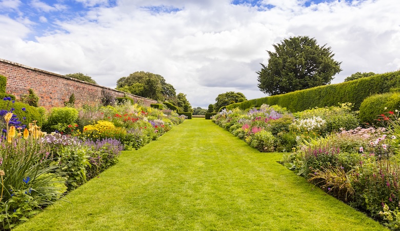 Un jardin.